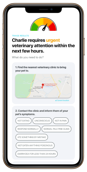 Felcana triage screen showing a pets symptoms along with the pet advice